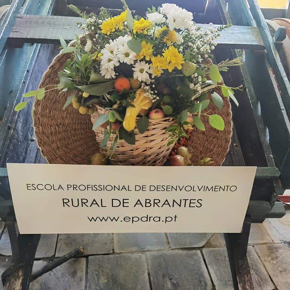 Recondução da Diretora