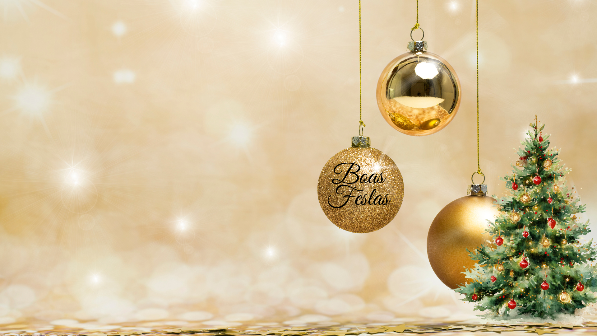 Interrupção letiva  -  Natal