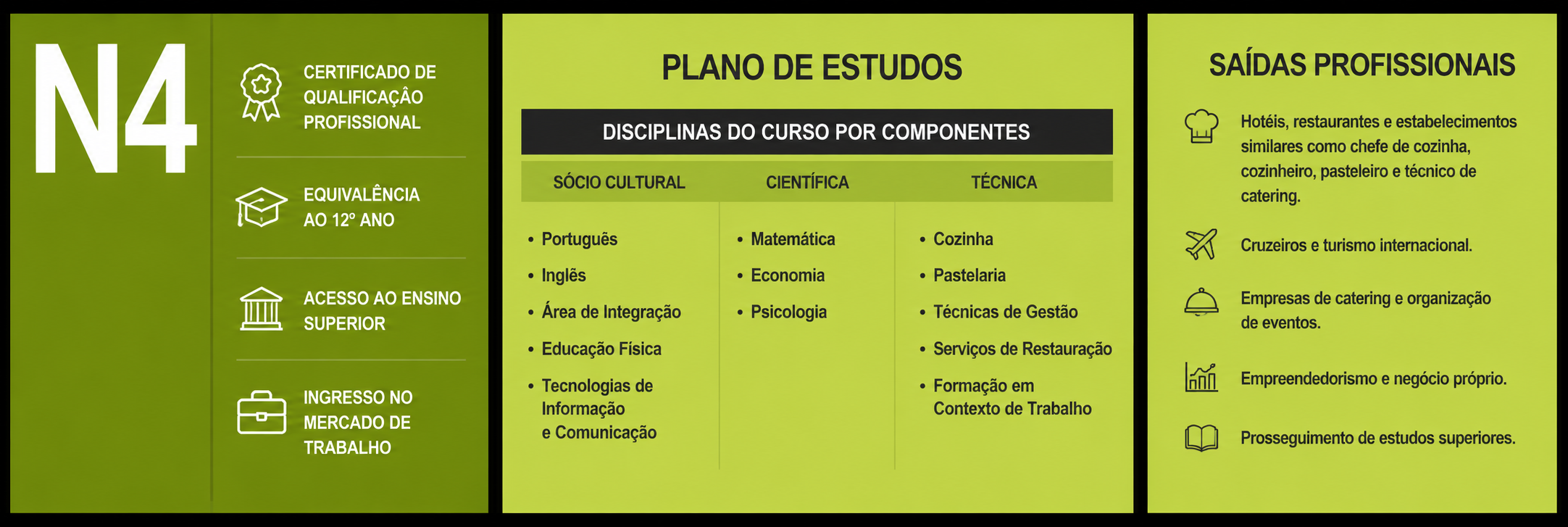 Plano Curricular 1